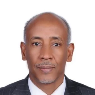 Dr. Mohamed Elmunir Safieldin